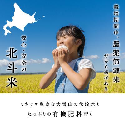 ふるさと納税 東神楽町 【定期便 12カ月】北斗米ななつぼし20kg(5kg×4袋) |  | 01