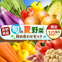 【ふるさと納税】天龍村 旬の夏野菜 （ 農産物 ） | 詰め合わせ セット 野菜 野菜セット 農産物 野菜類 詰合せ セット 長野県 天龍 てんりゅう