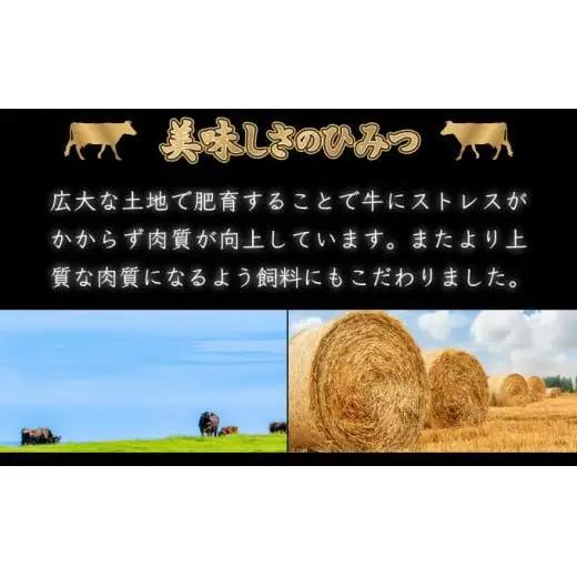 500g【佐賀牛】モモスライス（すき焼き・しゃぶしゃぶ） C-592