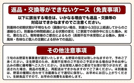 野菜 旬の野菜セット|豊後高田市