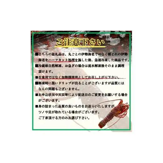 【伊勢海老】 ハーフカット伊勢海老(加熱用)5匹(2.5kg以上)