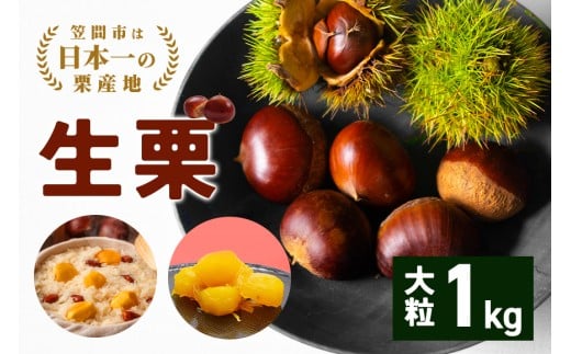 【2025年 秋 出荷】生栗 1kg×1袋 1kg 特大 サイズ 3L 以上 大粒 大きい 数量限定くり クリ 笠間の栗 栗ごはん カサマロン 国産  先行予約 モンブラン 栗きんとん 冷蔵 笠間市