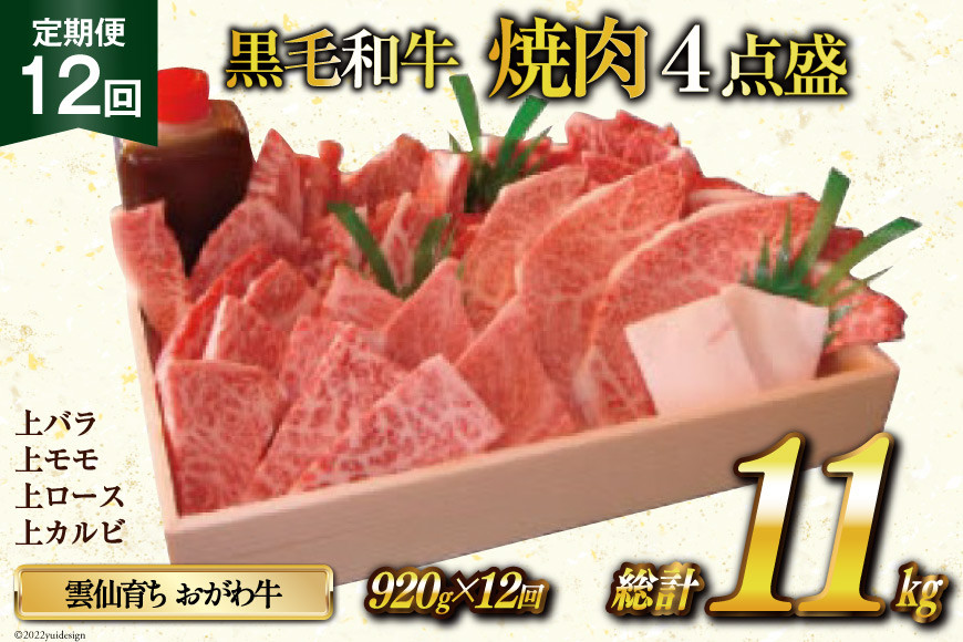 
定期便 12回 牛肉 雲仙育ち おがわ牛 焼肉4点盛 総計約11kg(920g×12回) 黒毛和牛 上バラ 上モモ 上ロース 上カルビ 冷凍 / 焼肉おがわ / 長崎県 雲仙市
