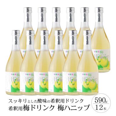ふるさと納税 新宮市 【新宮市】希釈用梅ドリンク 梅ハニップ12本セット