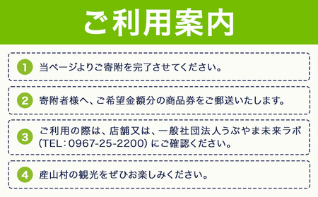 産山村観光商品券 10,000円 熊本 阿蘇