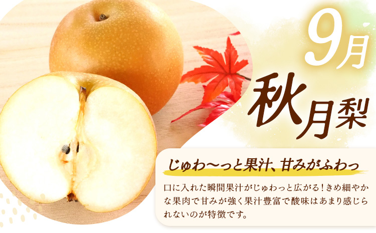 【3ヶ月定期便】梨 定期便 秀品 3ヶ月連続 梨の定期便 リッチ 計9kg 日本フルーツ株式会社《8月上旬-10月末頃出荷》熊本県 長洲町 なし ナシ 豊水梨 秋月梨 新高梨 果物 フルーツ---sn