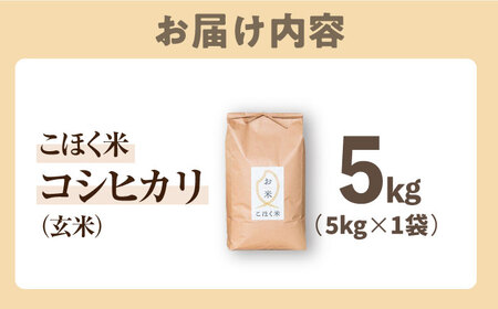 【食味最高ランク特A 2年連続受賞】【減農薬米】滋賀県湖北産 湖北のコシヒカリ 玄米5kg　滋賀県長浜市/株式会社エース物産[AQAK001]
