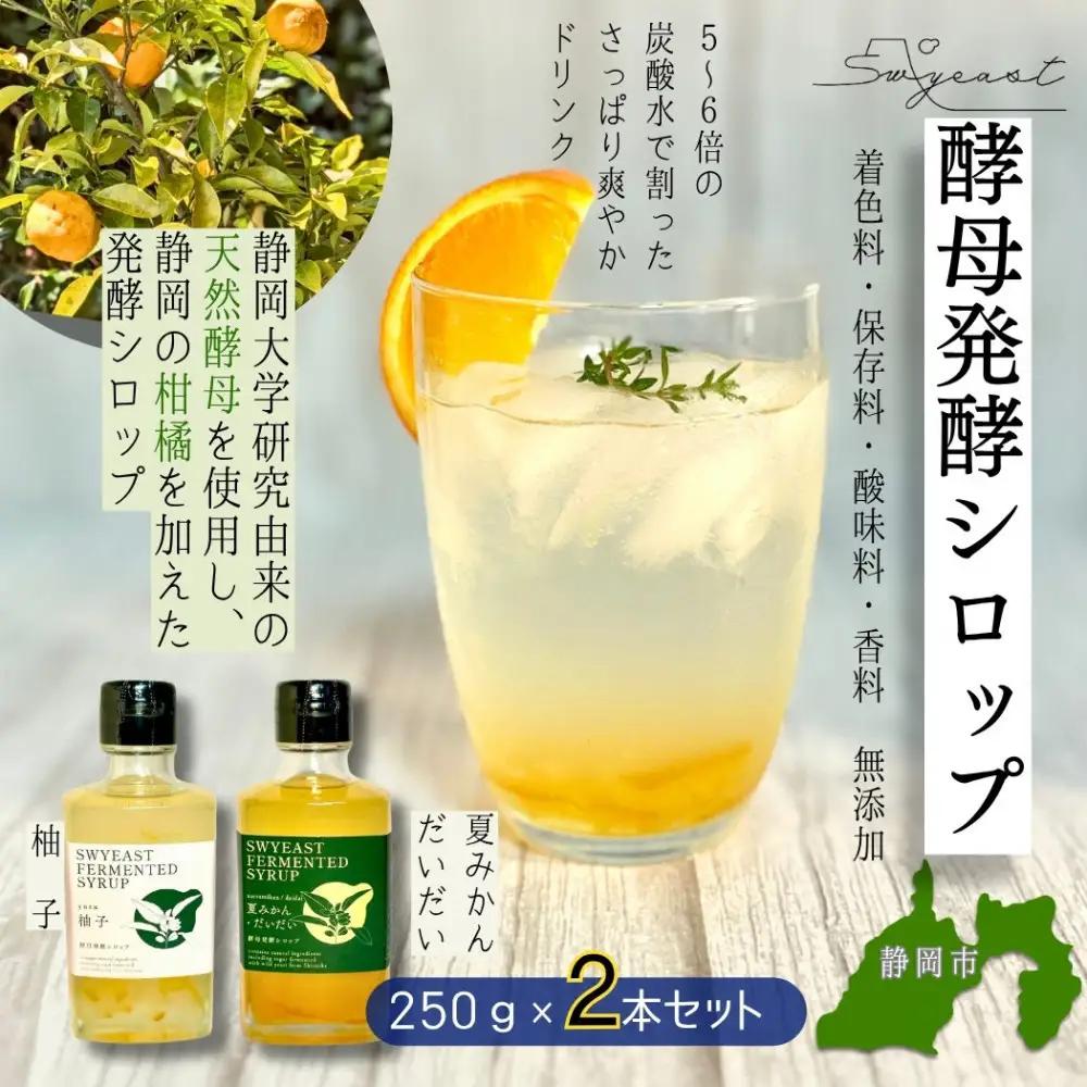 大学研究の天然酵母使用 お酒でもジュースでもない新感覚発酵シロップ　250ｇｘ2本