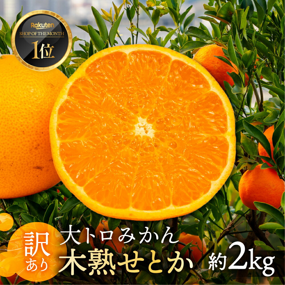 【ふるさと納税】≪先行予約≫大トロみかん『木熟せとか』家庭用 バラ詰め 約2kg ミカン みかん せとか フルーツ 果物 旬 mikan 訳あり ワケアリ 訳アリ 愛知県 豊橋市 マルカワ園芸