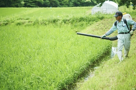 特別栽培米 出雲國ご奉納コシヒカリ 窒素充填2kg×3袋【こしひかり ギフト プレゼント 贈答用 AKOMEYA TOKYO 令和5年度産  B-303 】