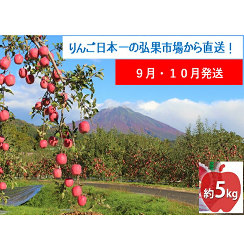 【ふるさと納税】【9月・10月発送】家庭用 早生ふじ 約5kg【西目屋村産・青森りんご】 りんご 林檎 リンゴ 果物 フルーツ くだもの 旬 青森県産 お取り寄せ 詰め合わせ セット 常温 産地直送 送料無料 青森県 西目屋村　お届け：2025年9月29日～2025年11月5日