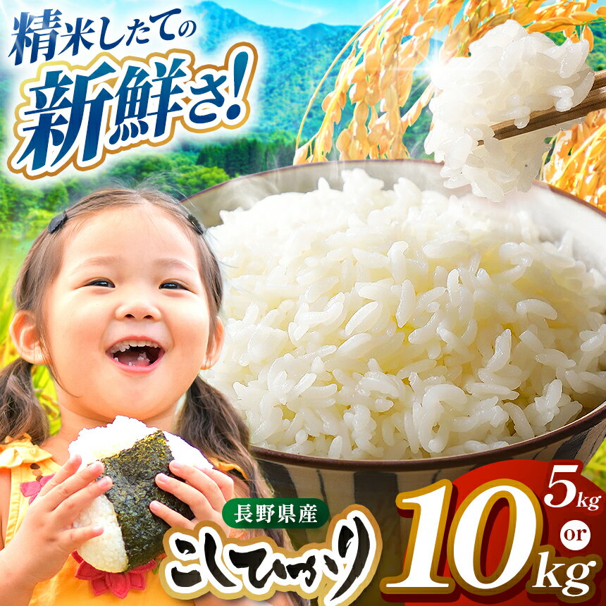 【ふるさと納税】 米 5kg 10kg コシヒカリ 令和7年産 JA上伊那 コシヒカリ 今ずり米 長野 上伊那産 お米 長野県産 こしひかり 5キロ 10キロ 選べる白米 精米 信州産 特産 産地直送 おすすめ こめ コメ おこめ 送料無料 長野県 伊那市
