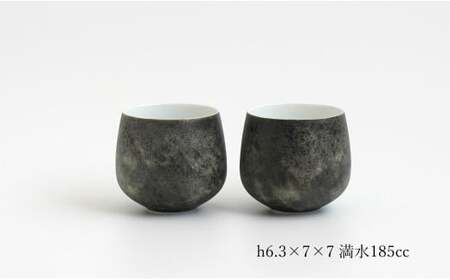 有田焼 MoonSurface 茶器 4点 セット【李荘窯業所】食器 器 うつわ 土瓶 モダン 和食器 プレート 李荘窯 140000円 14万円 A140-28