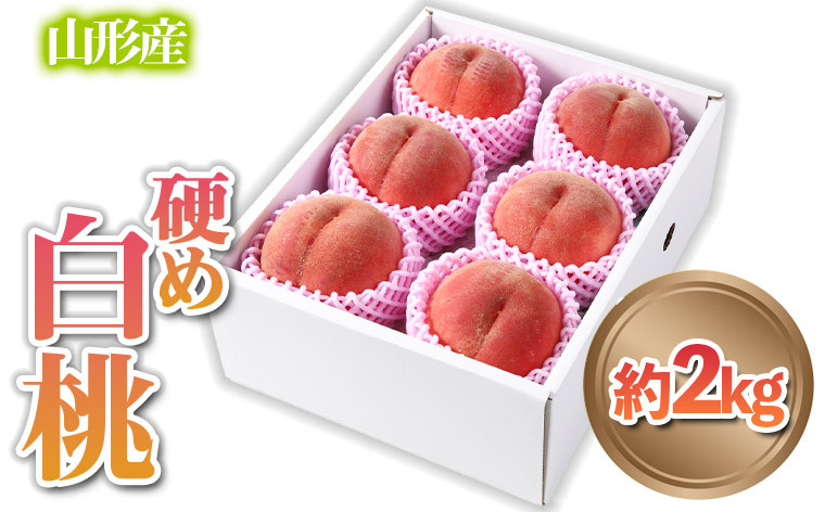 
                  山形産 硬め 「白桃」 秀品 約2kg (5玉～8玉)【令和8年産先行予約】 FS24-083 くだもの 果物 フルーツ 山形 山形県 山形市 2026年産
                