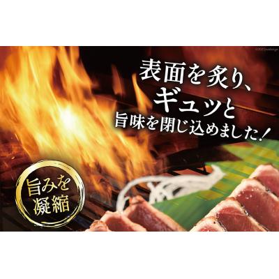 ふるさと納税 気仙沼市 訳あり 気仙沼港水揚 かつお タタキ 600g 20564307 ◎ |  | 03