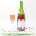 【ふるさと納税】YAWARAGI 〜和らぎ〜 SPARKLING ROSE BRUT≪佐藤果樹園≫【ワイン・お酒・洋酒・ぶどう酒・スパークリング・ロゼ・辛口】