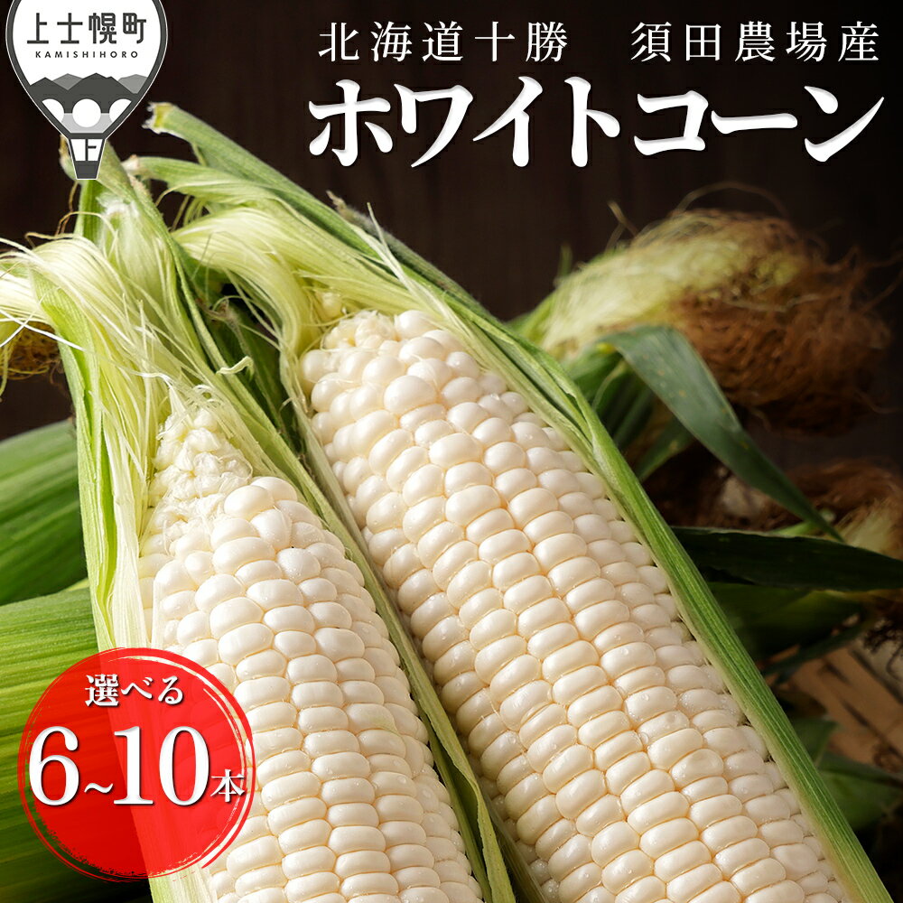 【ふるさと納税】2026年産 北海道産 ホワイトコーン 選べる 6～10本 高評価★5.0 北海道 上士幌町 須田農場 野菜 白い スイートコーン とうもろこし トウモロコシ 産地直送 冷蔵 ◆2026年08月配送予定