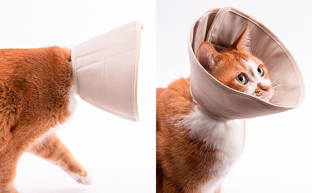 ぽぽねこ 軽くて柔らかい猫用エリザベスカラー