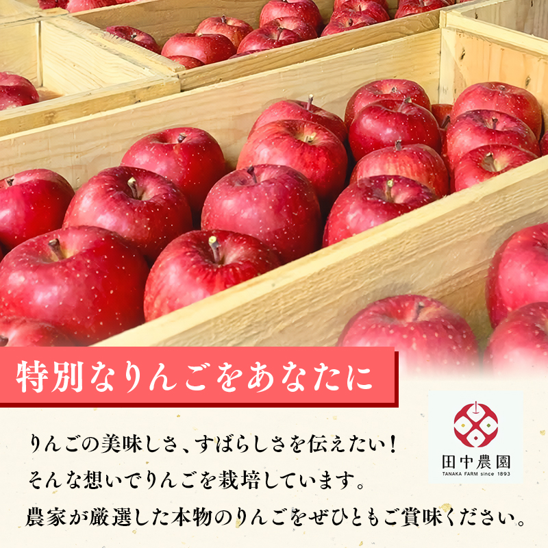 12月 100年の歴史 贈答規格サンふじ 約3kg【田中農園・青森県平川市産・青森りんご】