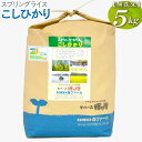 【ふるさと納税】【新米】スプリングライス こしひかり (無洗米)5kg｜有機 有機JAS オーガニック 農薬不使用 無農薬 米 コメ こめ ごはん ご飯 ゴハン 白飯 スプリング ライス コシヒカリ 水へのこだわり 地下水 5kg 贈答 無洗米 ギフト プレゼント お祝 贈り物 景品 _BI39