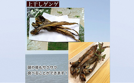 【富山湾深海魚】サク旨　ゲンゲの上干し×5袋（ゲンゲの干物） ハマオカ海の幸