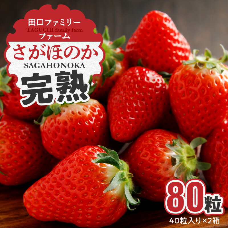 【ふるさと納税】完熟 いちご さがほのか 厳選 40粒 入り × 2箱 果物 ストロベリー フルーツ デザート 国産 甘い ジューシー 宮崎県 延岡市 田口ファミリーファーム お取り寄せ お取り寄せグルメ 送料無料