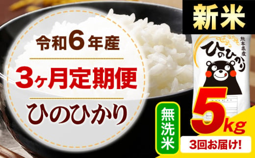 【3ヶ月定期便】令和6年産 新米 無洗米 早期先行予約受付中 ひのひかり 定期便 5kg《申込み翌月から発送》令和6年産 熊本県産 ふるさと納税 精米 ひの 米 こめ ふるさとのうぜい ヒノヒカリ コメ お米