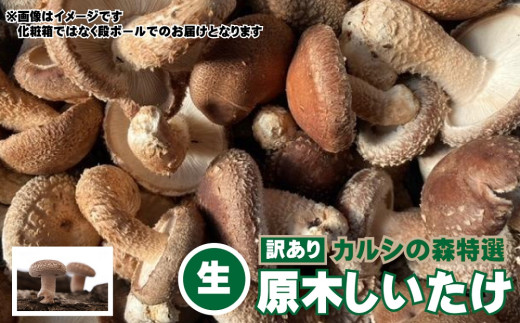 Y-2001 【訳あり】カルシの森特選 原木しいたけ（生）約２kg