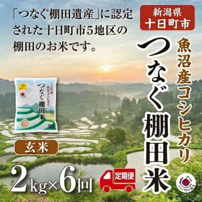 ふるさと納税 十日町市 【毎月定期便】新潟県十日町市魚沼産コシヒカリ「つなぐ棚田米」玄米2kg全6回