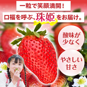 化粧箱入りいちご【珠姫】 酸味が少なくやさしい甘み 珠姫 いちご 2パック 9~15粒 化粧箱 卵型 粒が大きい 生駒いちご園 果物 フルーツ デザート 贈り物 お取り寄せ お取り寄せフルーツ 奈良県