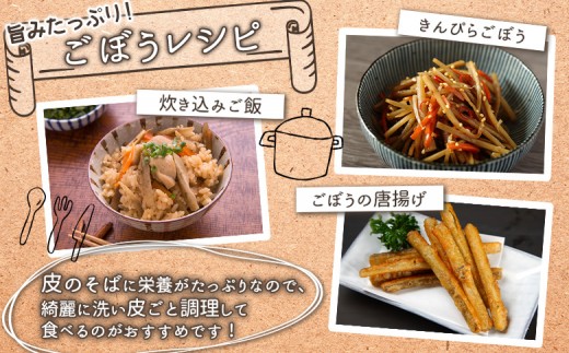 【先行予約】北海道留寿都村産　ごぼう 10kg