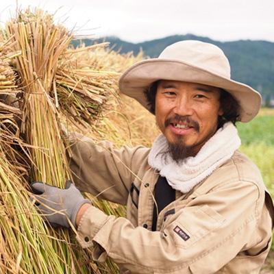 ふるさと納税 池田町 生命力溢れる健やか米!栽培期間中農薬・化学肥料不使用　はぜ掛け(天日干し)コシヒカリ　白米 10kg |  | 01