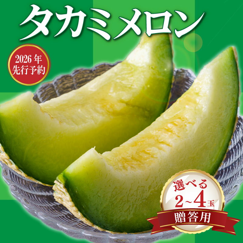 【ふるさと納税】 《2026年 先行予約 》贈答用 貴味メロン 青肉 2玉 / 4玉 選べる 内容量 めろん 貴味 メロン 甘いメロン デザート ジューシ 美味しい おいしい 糖度 あまい おすすめ 高級 人気 旬 くだもの フルーツ 贈り物 ギフト プレゼント 千葉県 旭市 たかの果樹園