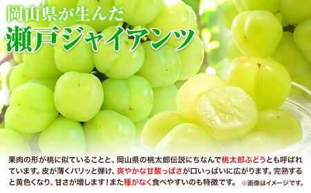 【2025年産先行予約】3ヶ月 定期便 食べ比べセット たたらみねらる シャインマスカット 瀬戸ジャイアンツ ピオーネ 各1房《8月下旬-10月下旬頃出荷》岡山県 笠岡市 マスカット ぶどう ブドウ 