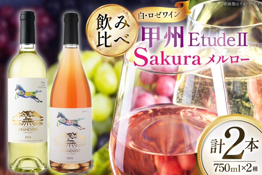 
                  酒 ワイン エチュード ll ＆ ロゼ サクラ メルロー 750ml 2本 セット [city farm  山梨県 韮崎市 20745521] アルコール あるこーる お酒 さけ 白ワイン ロゼワイン 白 ロゼ わいん 甲州 甲州ワイン 日本ワイン 女子会 家飲み 記念日 贈答 ギフト プレゼント ふるさと納税
                