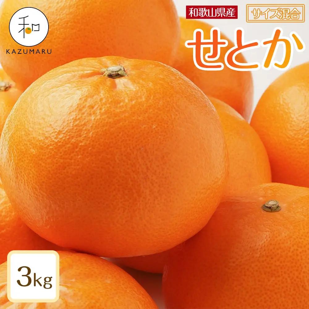 〈2027年2月下旬から順次発送予定〉せとか 約3kg せとかみかん［RN130］