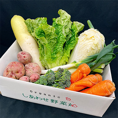 
                  ＜毎月定期便＞＜フードロス対応・規格外野菜利用＞　オーガニック野菜　シェフSセット全12回【4003730】
                