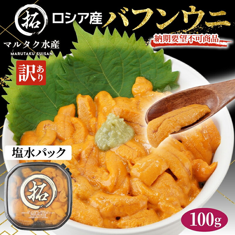 【ふるさと納税】納期指定・不在対応不可 訳あり ロシア産 バフンウニ 塩水パック 100g×1 雲丹 ウニ うに 新鮮 海産物 冷蔵 濃厚 甘い　お届け：2026年2月～6月末まで　2026年10月～12月10日まで