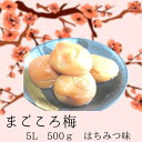 【ふるさと納税】まこごろ梅 はちみつ味 5Lサイズ 500g | 梅干 食品 加工食品 人気 おすすめ 送料無料