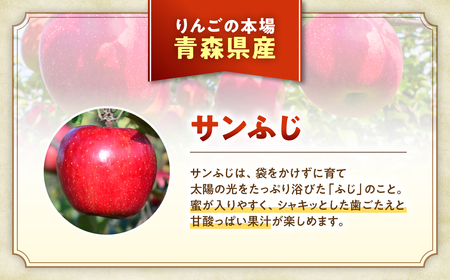 青森県産りんご サンふじ 約5kg 12月下旬~ りんご