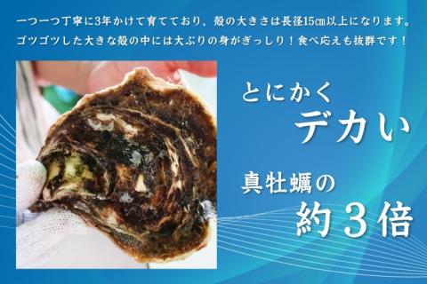 (12018)【定期便】岩カキ  1kg×3回 牡蠣 岩牡蠣 海のミルク 濃厚 クリーミー 夏バテ防止 冷蔵 冷凍 焼き 蒸し& 加熱 定期便  毎月3ヶ月