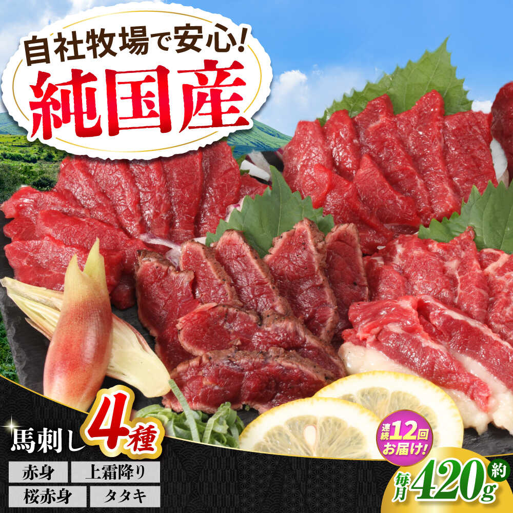 【ふるさと納税】【全12回定期便】『純国産』熊本の味 馬刺し 満喫 4種 セット 計約420g 赤身 上霜降り 桜 タタキ 食べ比べ 馬肉 熊本 ばさし 冷凍 詰め合わせ 合志 定期 定期便【有限会社 九州食肉産業】[AYCN033] 馬刺 霜降り 国産