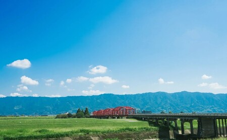 定期便 6回 吉野家 牛すい 20袋 フリーズドライ 常温保存 食品 牛肉 インスタント 常温 非常食 保存食 災害 防災 備蓄 ローリングストック 非常用 備蓄用