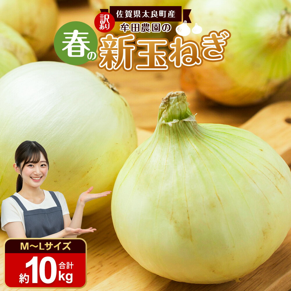 【ふるさと納税】【訳あり】牟田農園の春の新玉ねぎ10kg （M～L） 【2026年4月上旬～6月上旬迄順次発送予定】 たまねぎ タマネギ 野菜 新玉ねぎ 玉ねぎ 佐賀県 太良町 農家直送 送料無料 L151