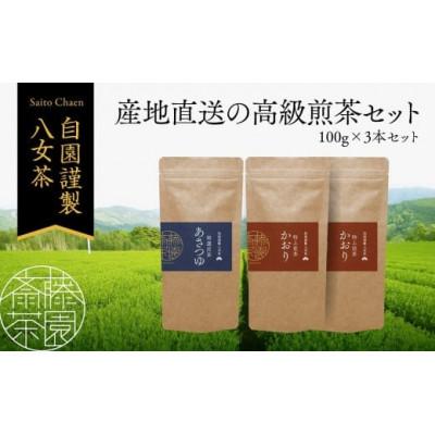 ふるさと納税 八女市 食べて栄養価の高い野菜になる美味しい高級八女煎茶