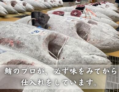 B42-001【お正月用F】天然目鉢鮪 中とろ3柵・赤身2柵【A3～A4ランク】（12月30日にお届け）
