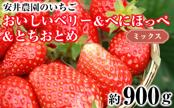 
No.186 おいしいベリー＆べにほっぺ＆とちおとめ　ミックス　約900g ／ フルーツ 果物 イチゴ 苺 千葉県 特産品
