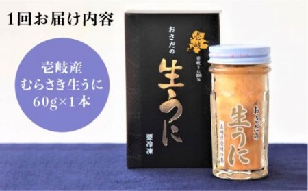 【全6回定期便】壱岐島産 老舗の厳選 おさだの生うに 60g×1本 [JAO037] 冷凍配送 九州