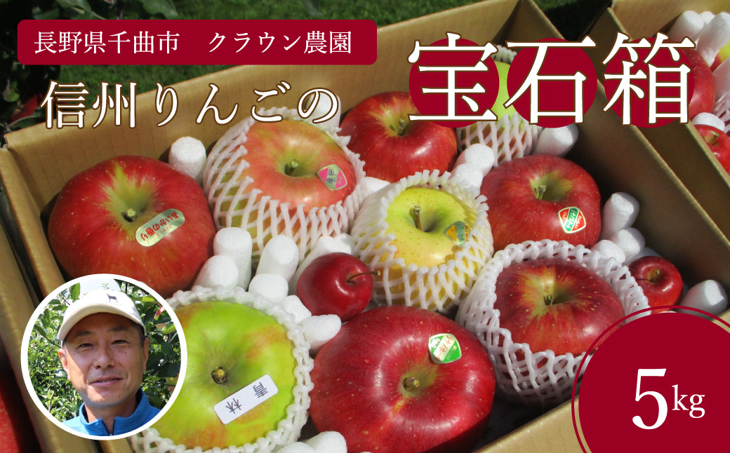 
            【2025年先行予約】りんご 園主におまかせ 詰合せ 計約5kg（10~18玉）りんごの宝石箱 産地直送 シナノスイート シナノゴールド 秋映 あいかの香り 群馬名月 王林 紅玉 シナノホッペ サンふじ 千曲市 長野県 信州
          