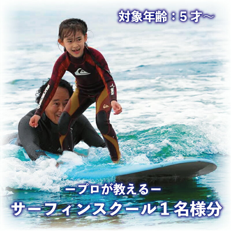 【ふるさと納税】 サーフィン スクール 1名様分 体験 チケット プロ コーチ レッスン 鵠沼海岸 初心者 子ども こども サーファー 利用 券 アクティビティ スポーツ 海 江の島 アウトドア さーふぃん 旅行 観光 旅行 トラベル 関東 首都圏 神奈川 湘南 藤沢 WARM UP SURF